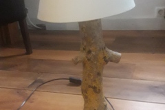20190102_092853