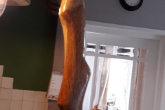 20190303_124243